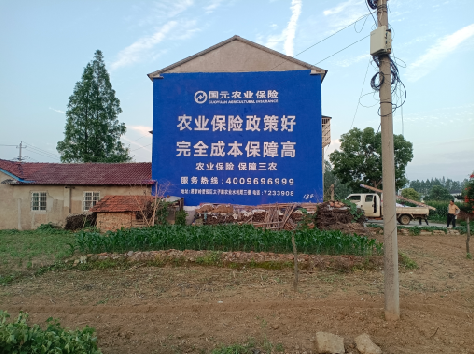 通海墙体广告为何受追捧？